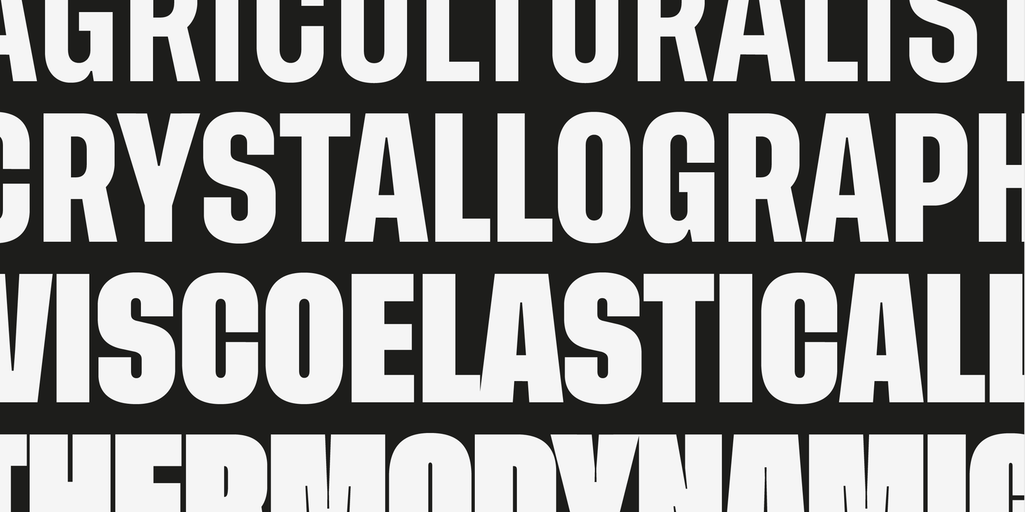 Przykład czcionki Tusker Grotesk 8700 Bold